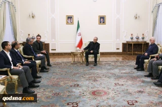 دیدار وزیر کشور پاکستان با رئیس‌جمهور؛ قدردانی از نقش سازنده اسلام آباد در روند دیپلماتیک منجر به توافق پایان جنگ