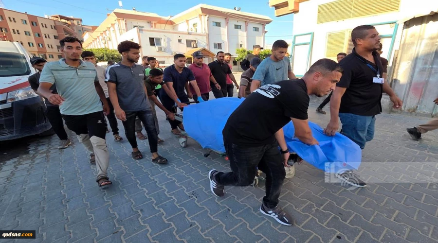 Gaza: martyr toll climbs to 73,039 martyrs