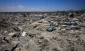 Palestinians affirm right to resist ‘in all forms’ as Gaza marks 1,000 days of genocide