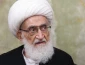 آیت‌الله نوری همدانی: عاملان شهادت رهبر شهید در انتظار قصاص قطعی باشند