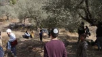 آوارگی فلسطین
