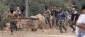 Hamas condemns W. Bank settler violence, accuses Zionist army of complicity