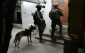Report documents 1,183 Israeli violations in West Bank in one week