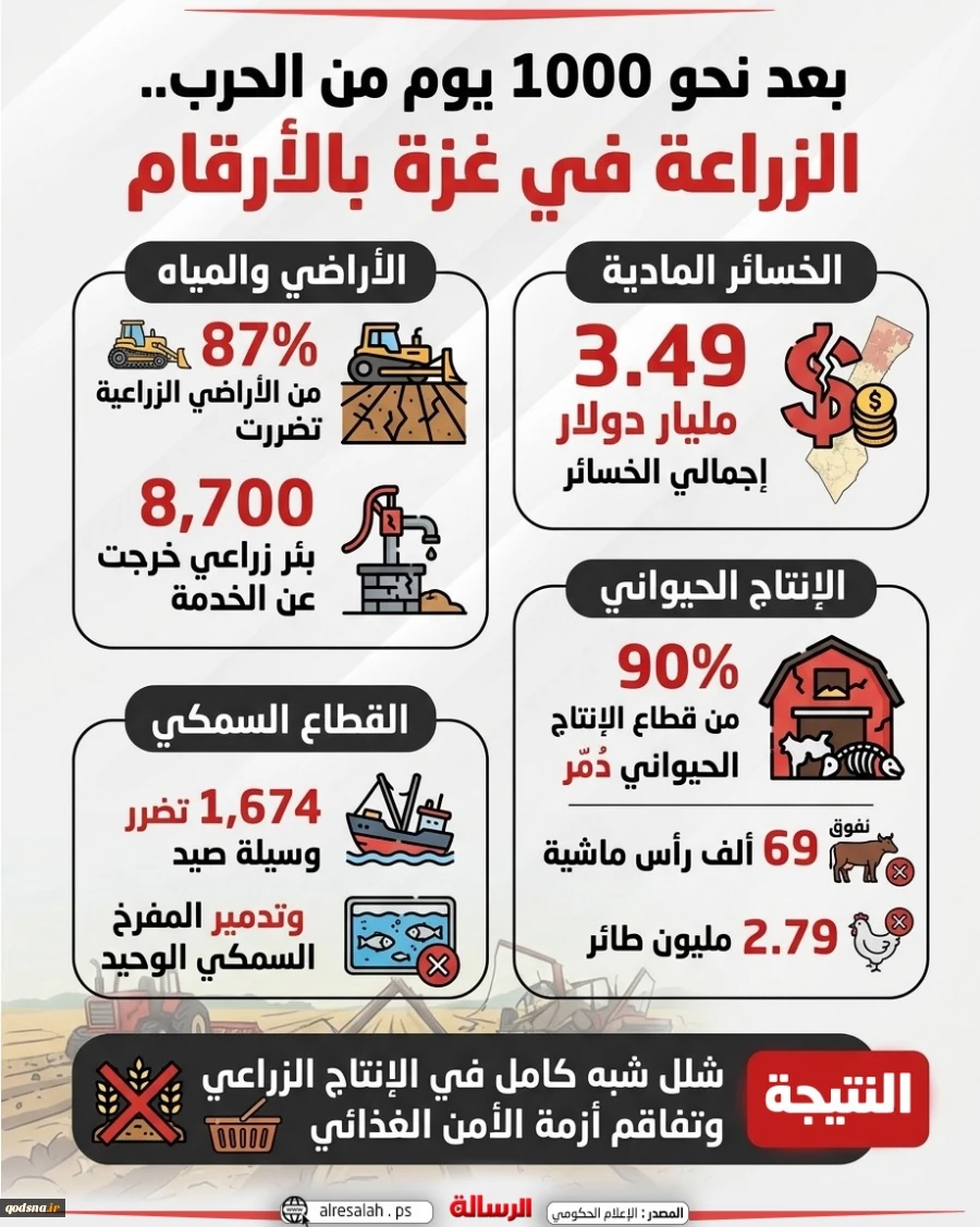 و 1000 يوم من الحرب.. الزراعة في غزة بالأرقام 2