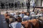 Red Cross urged to voice position against Israeli ban on prisoner visits