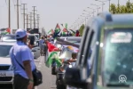 همبستگی بیش از ۵۰۰ فعال از ۲۰ کشور با فلسطین در دیاربکر ترکیه 2