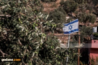 536 Israeli attacks targeting West Bank farmland, crops in 2026