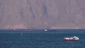 Iran retains initiative in Strait of Hormuz despite US claims: Armed Forces spokesman