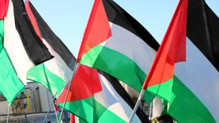 More than 1,000 Palestinian figures call for an elected National Council and diaspora representation