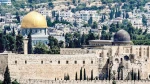 Palestinian scholars, Arab and Islamic groups call for Friday of anger in support of Aqsa