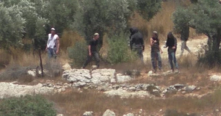 Waves of settler attacks reported across W. Bank in past 24 hours