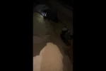شهادت ۳ فلسطینی در خان یونس/حملات ارتش اسرائیل به مناطق مسکونی در غزه ادامه دارد+فیلم 2